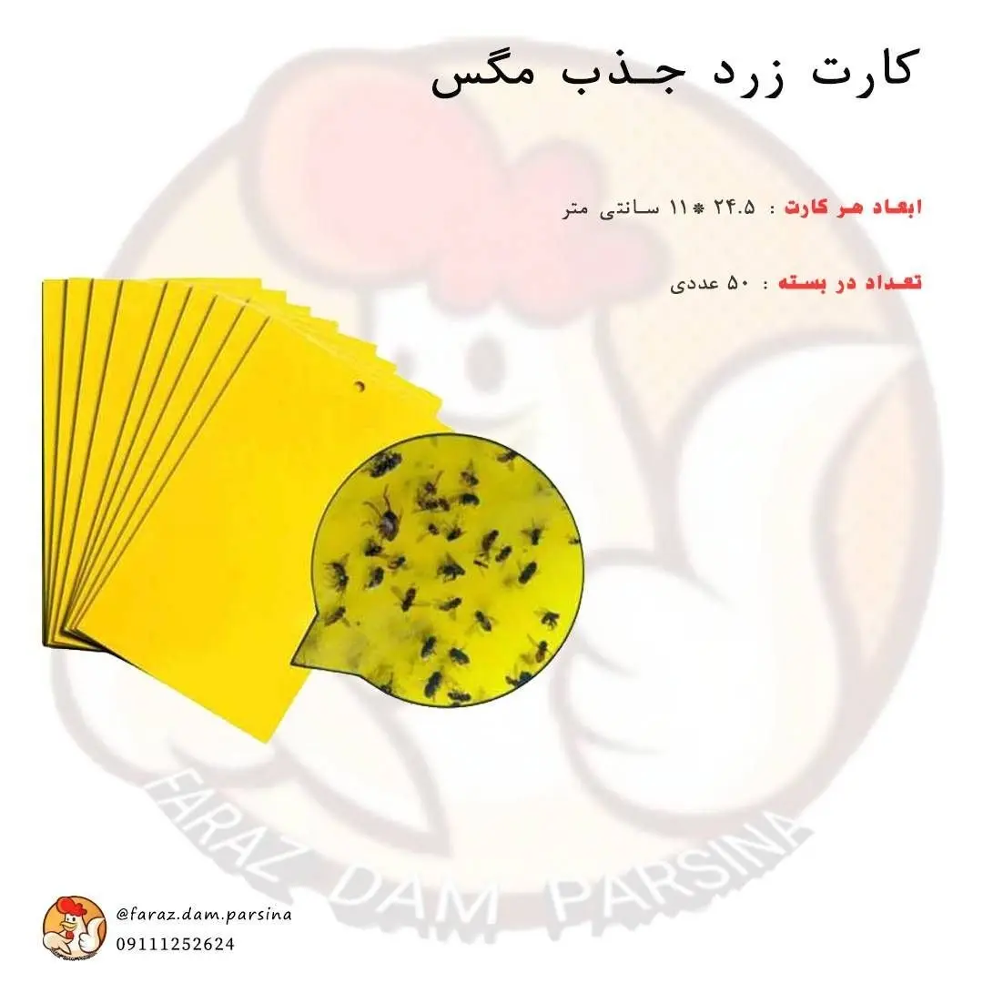 کارت زرد جذب مگس