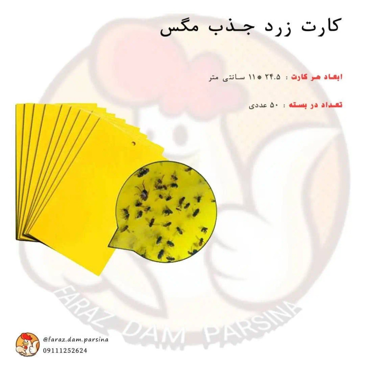 کارت زرد جذب مگس