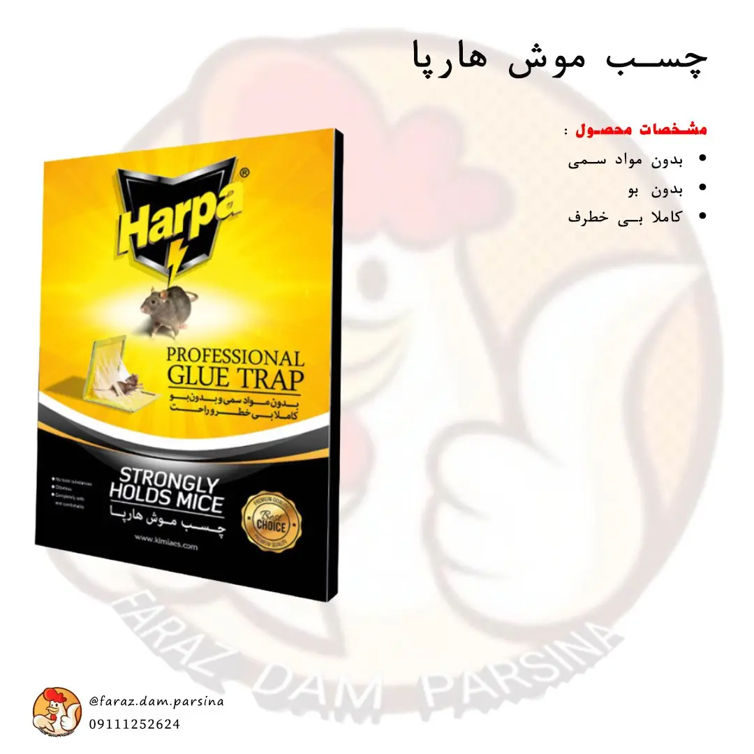 چسب موش هارپا