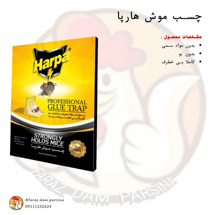 چسب موش هارپا