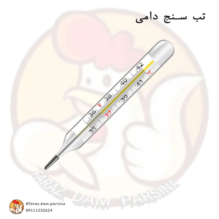 تب سنج دامی
